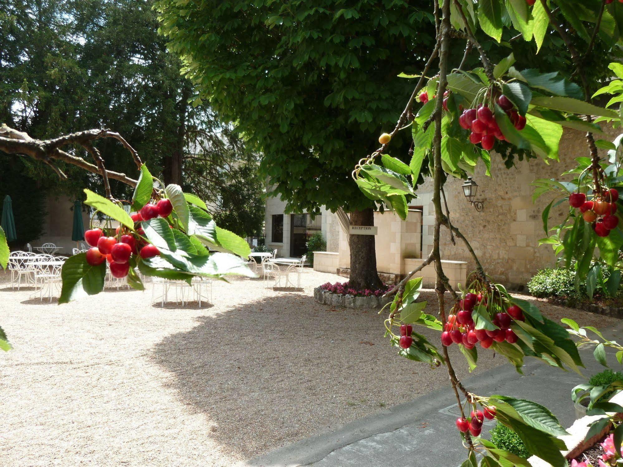 אזאי-לה-רידיו Hotel Grand Monarque מראה חיצוני תמונה
